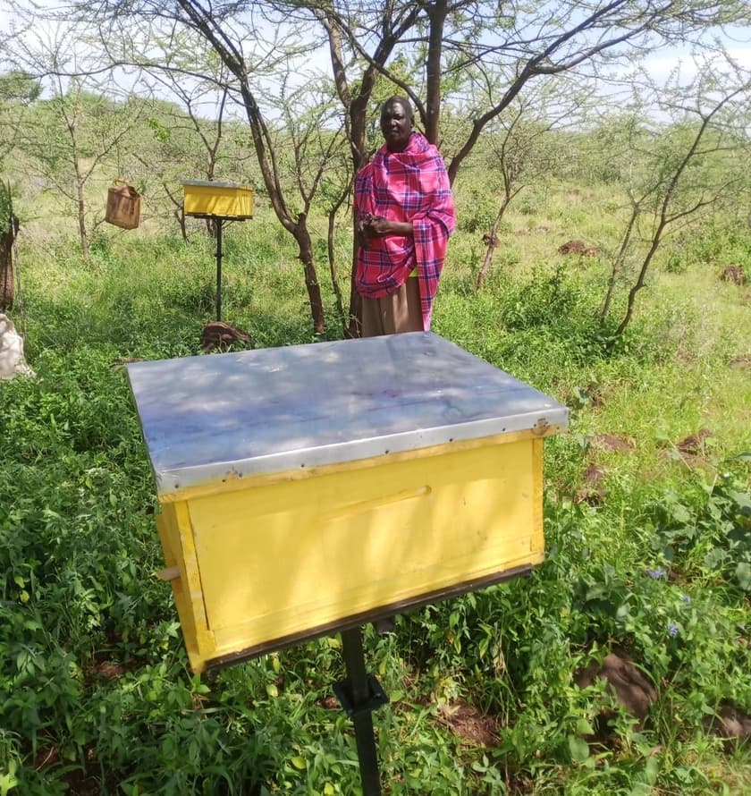 Beekeeping 101: A Beginner's Guide to Sustainable Apiculture